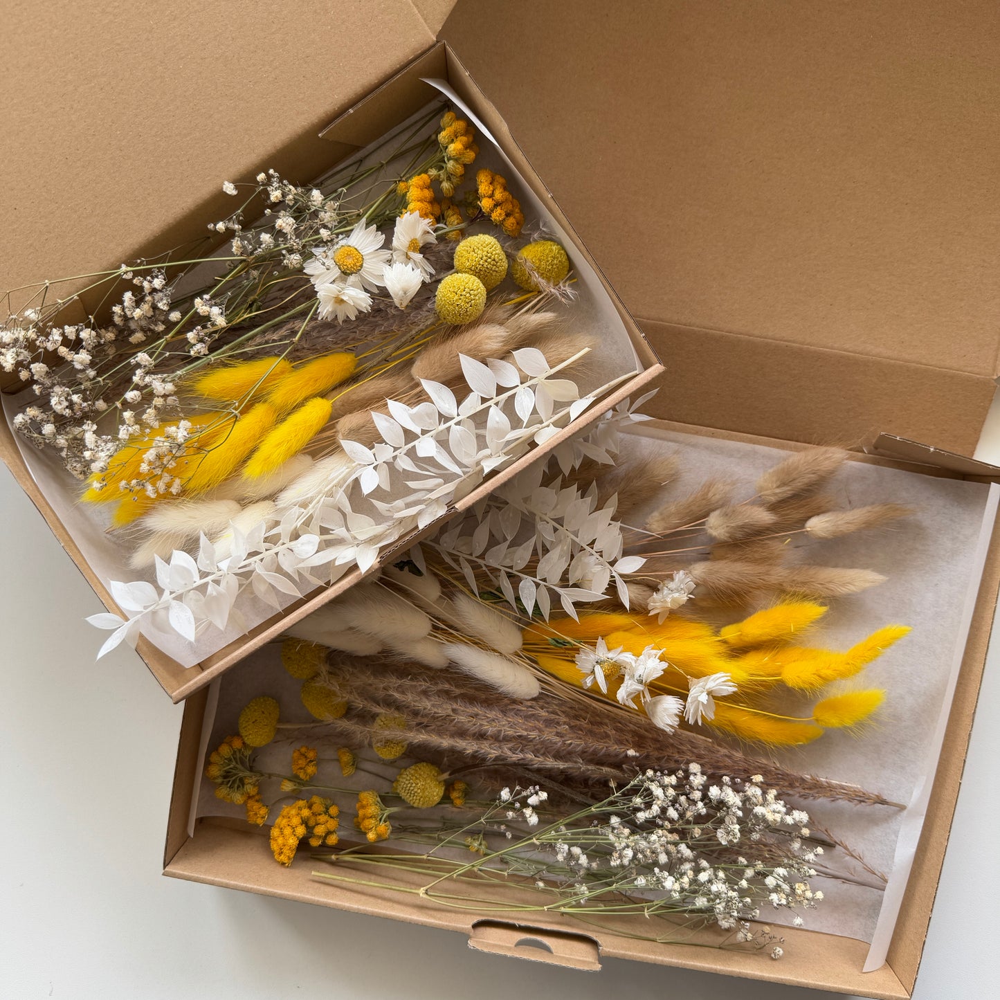 DIY-Set: Trockenblumen zum basteln - weiß/beige/gelb
