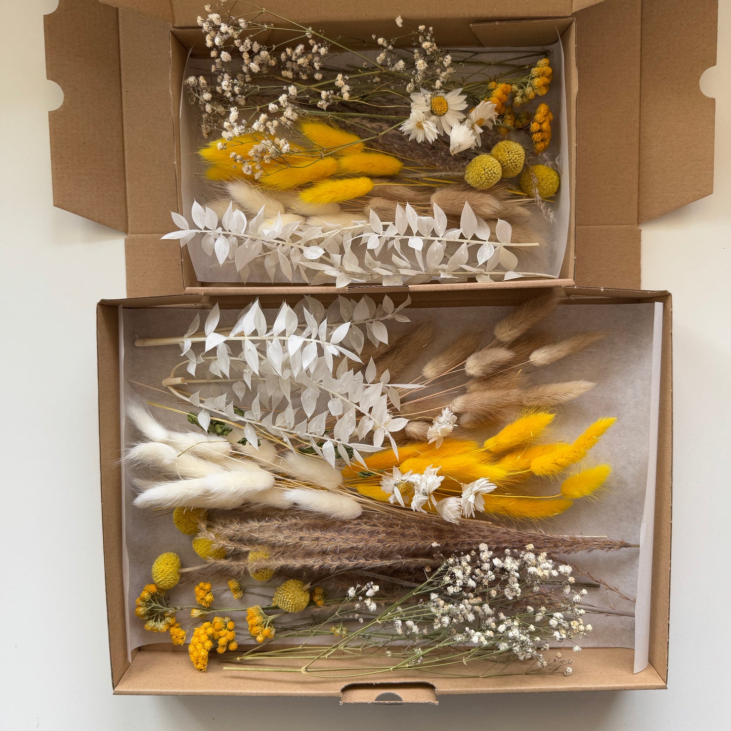 DIY-Set: Trockenblumen zum basteln - weiß/beige/gelb