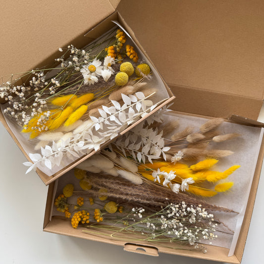 DIY-Set: Trockenblumen zum basteln - weiß/beige/gelb